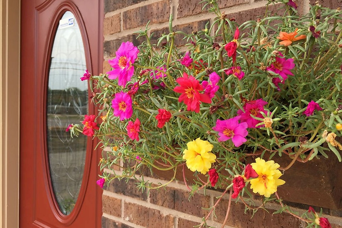 Slider Image 3